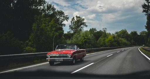 pexels-lilartsy-1172105 (1).jpg